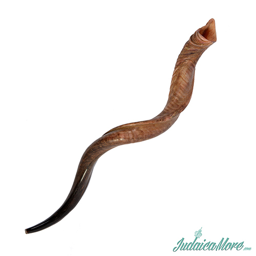 Kudu Shofar